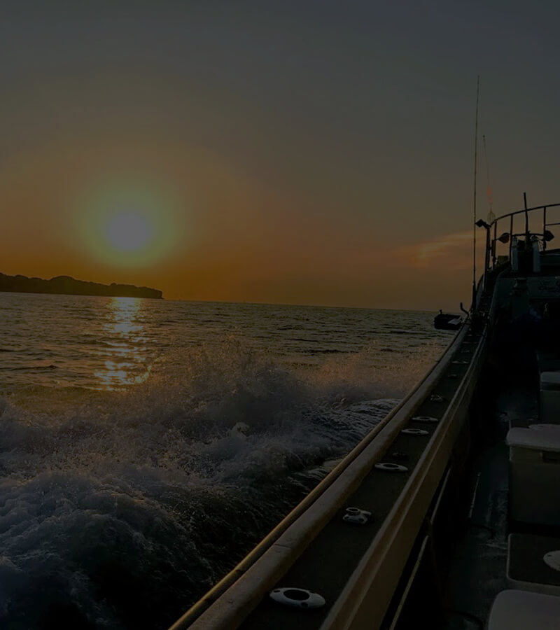 メイン画像1枚目