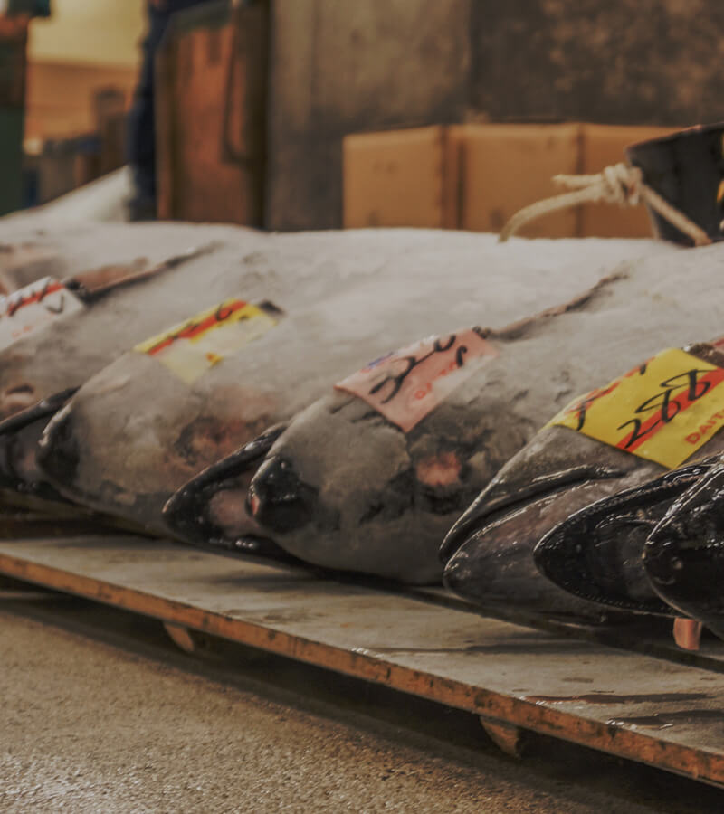 メイン画像2枚目